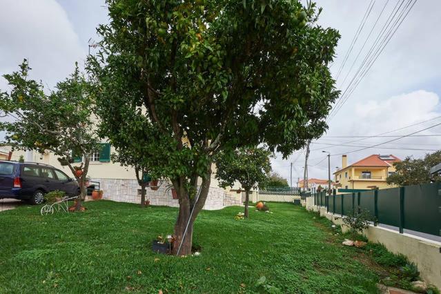 דירות Sun House - Near Sintra - Kitchen - Pool מראה חיצוני תמונה